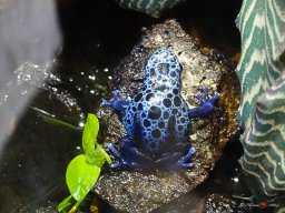Tiergarten Schönbrunn am 23.03.2023